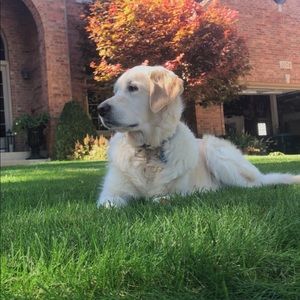 Meet your Posher, Landon